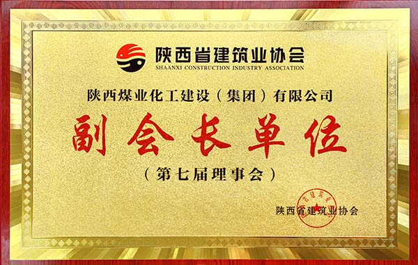 陜煤建設(shè)集團(tuán)被授予省建協(xié)“副會(huì)長”單位